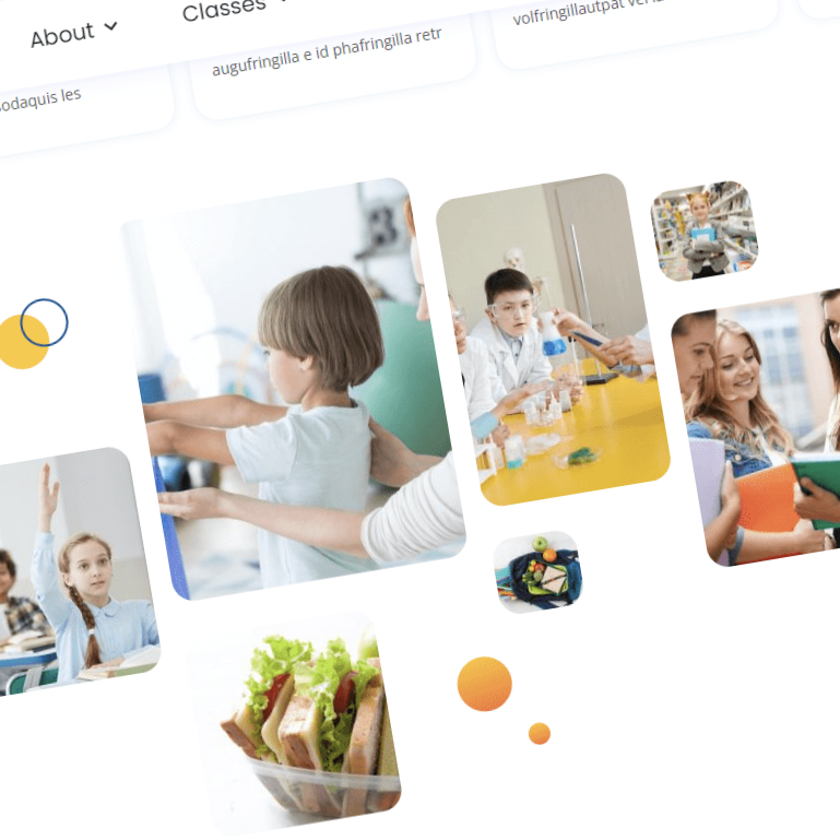 school website